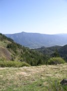 4.30.06 Hamilton Mountain 096 